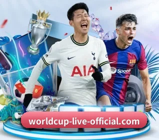 世界杯直播 APP 界面